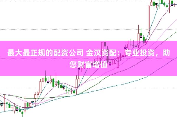 最大最正规的配资公司 金汉资配：专业投资，助您财富增值