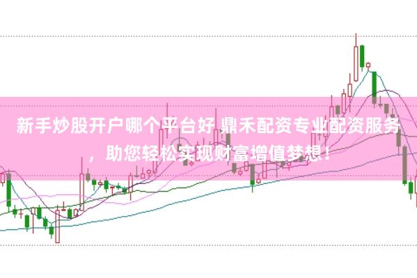 新手炒股开户哪个平台好 鼎禾配资专业配资服务，助您轻松实现财富增值梦想！