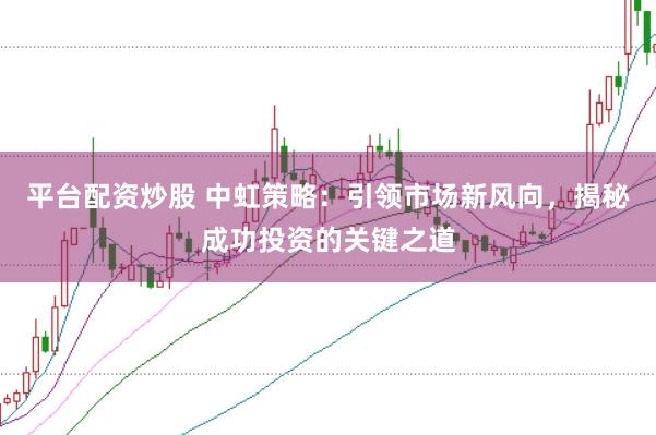 平台配资炒股 中虹策略：引领市场新风向，揭秘成功投资的关键之道