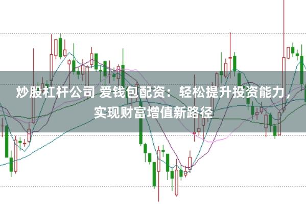 炒股杠杆公司 爱钱包配资：轻松提升投资能力，实现财富增值新路径