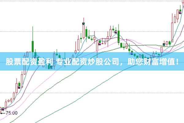 股票配资盈利 专业配资炒股公司，助您财富增值！