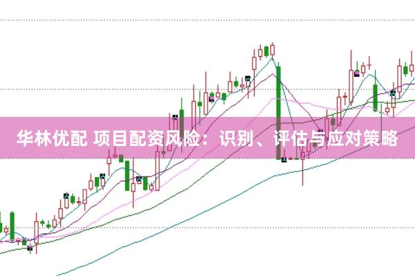 华林优配 项目配资风险：识别、评估与应对策略