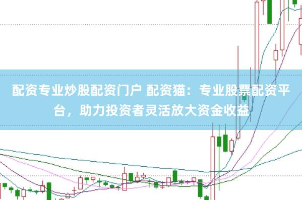 配资专业炒股配资门户 配资猫：专业股票配资平台，助力投资者灵活放大资金收益