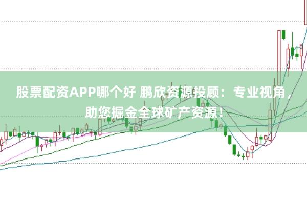 股票配资APP哪个好 鹏欣资源投顾：专业视角，助您掘金全球矿产资源！
