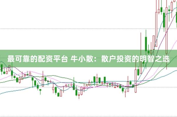 最可靠的配资平台 牛小散：散户投资的明智之选