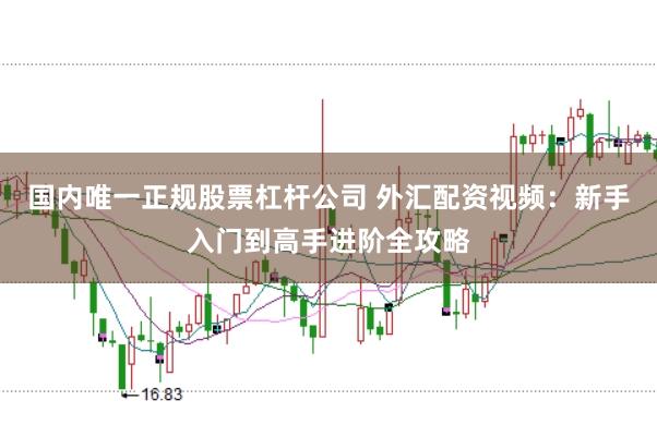 国内唯一正规股票杠杆公司 外汇配资视频:新手入门到高手进阶全攻略
