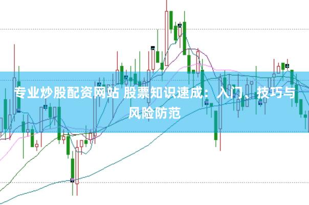 专业炒股配资网站 股票知识速成:入门、技巧与风险防范