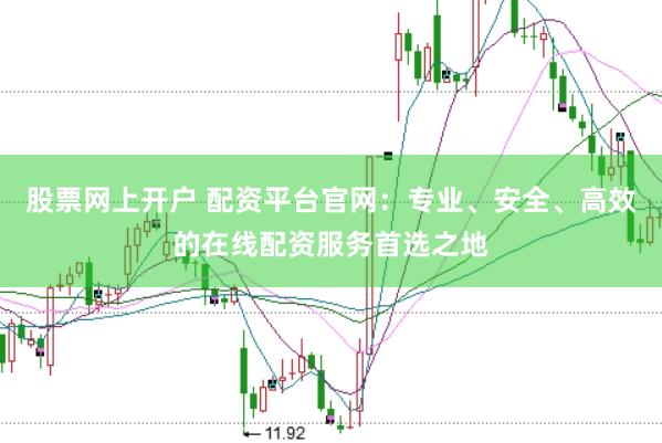 股票网上开户 配资平台官网:专业、安全、高效的在线配资服务首选之地