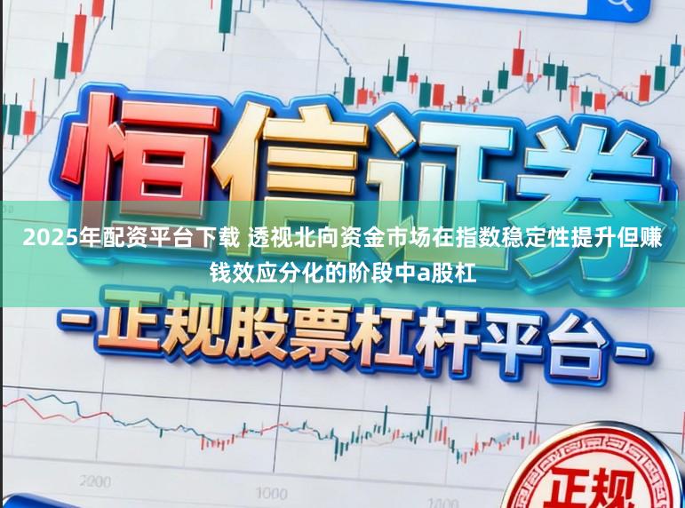 2025年配资平台下载 透视北向资金市场在指数稳定性提升但赚钱效应分化的阶段中a股杠