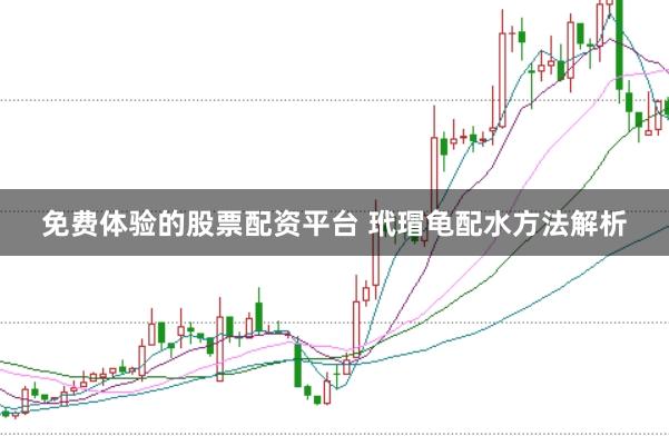 免费体验的股票配资平台 玳瑁龟配水方法解析