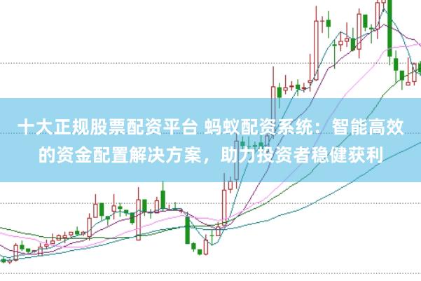 十大正规股票配资平台 蚂蚁配资系统：智能高效的资金配置解决方案，助力投资者稳健获利